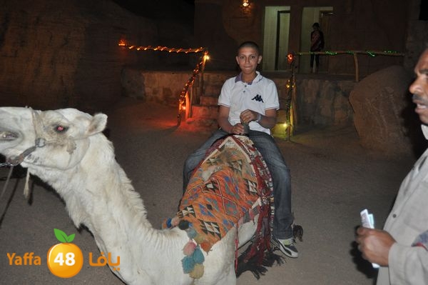 re7latsharmn422 (33).jpg